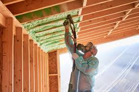 Best Blown-In Insulation  in Burlington, IA